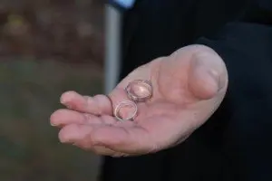 wedding officiant holding wedding rings